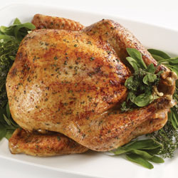 Herb Rubbed Roasted Turkey